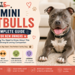 Mini Pitbull