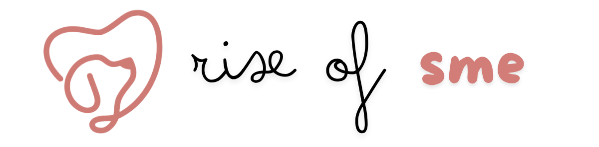 riseofsme.com