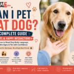can i pet that dog