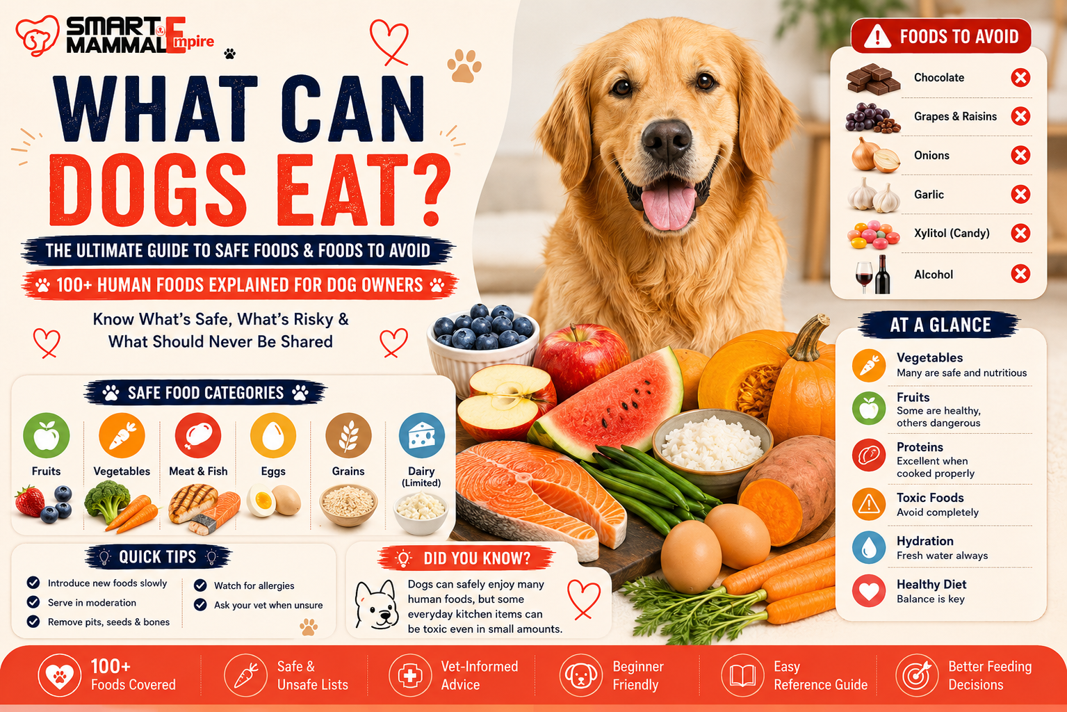 What Can Dogs Eat? 100+ Safe Foods and Foods to Avoid