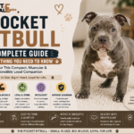 Pocket Pitbull