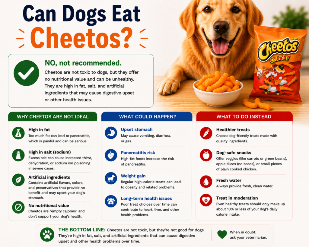 Can Dogs Eat Cheetos?