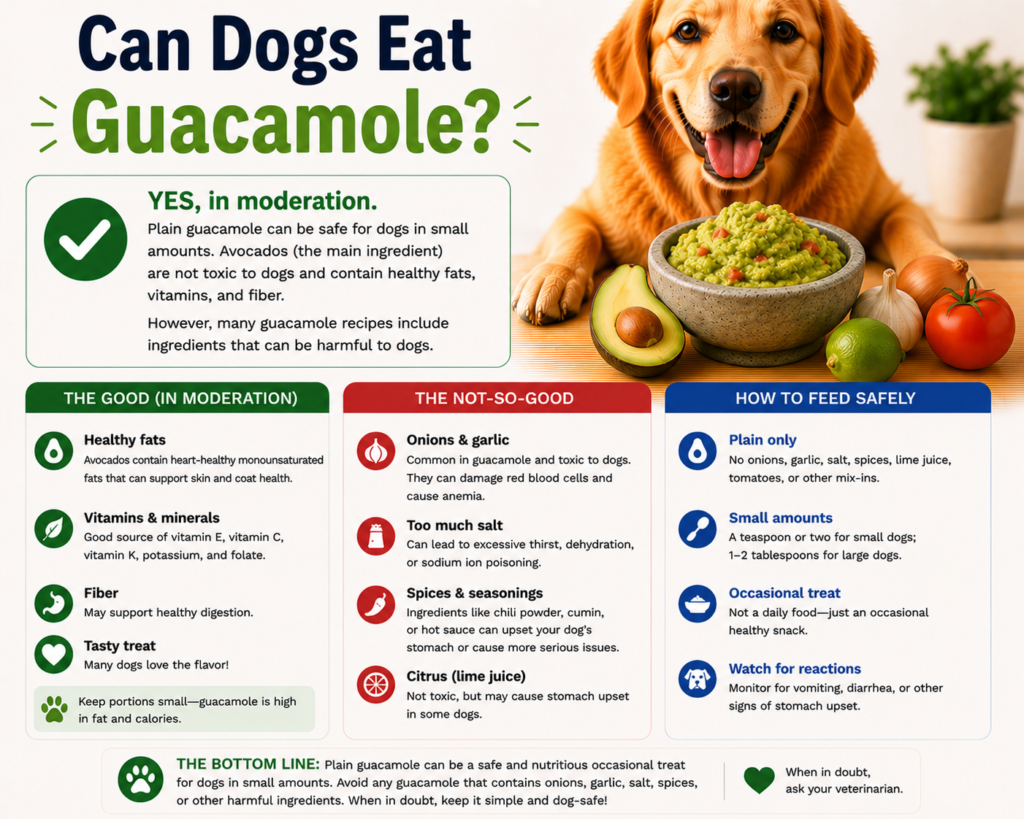 Can Dogs Eat Guacamole?