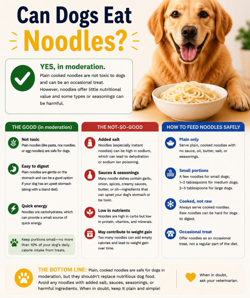 Can Dogs Eat Noodles?