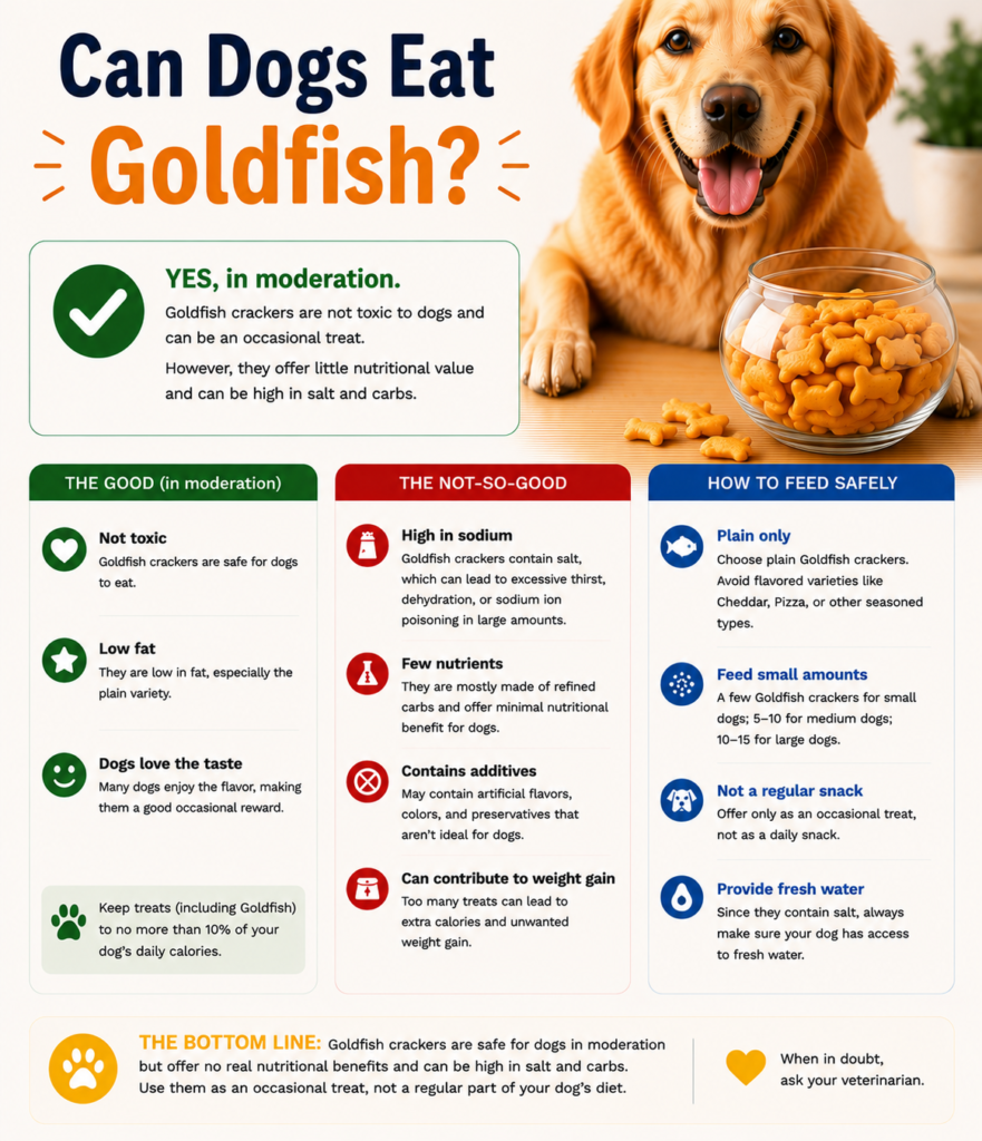 Can Dogs Eat Goldfish?