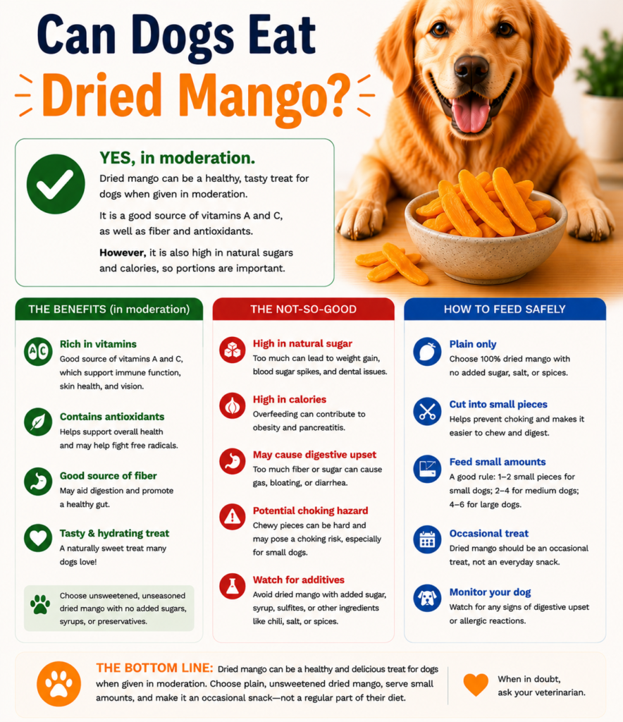 Can Dogs Eat Dried Mango?