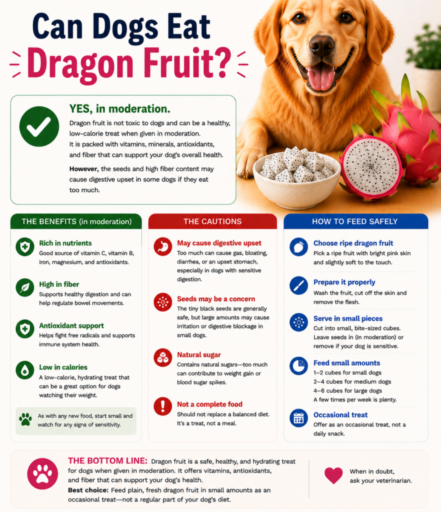 Can Dogs Eat Dragon Fruit?