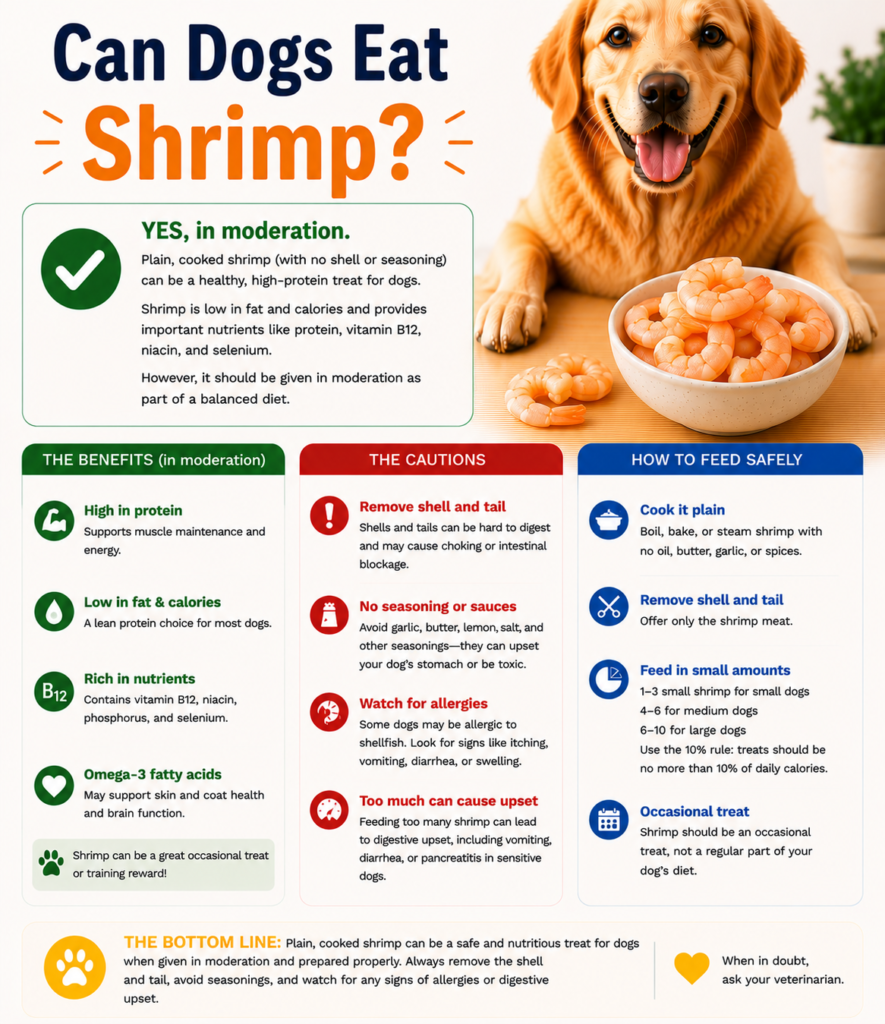 Can Dogs Eat Shrimp?