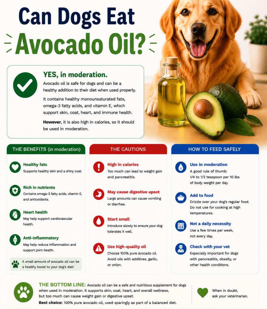 Can Dogs Eat Avocado Oil?