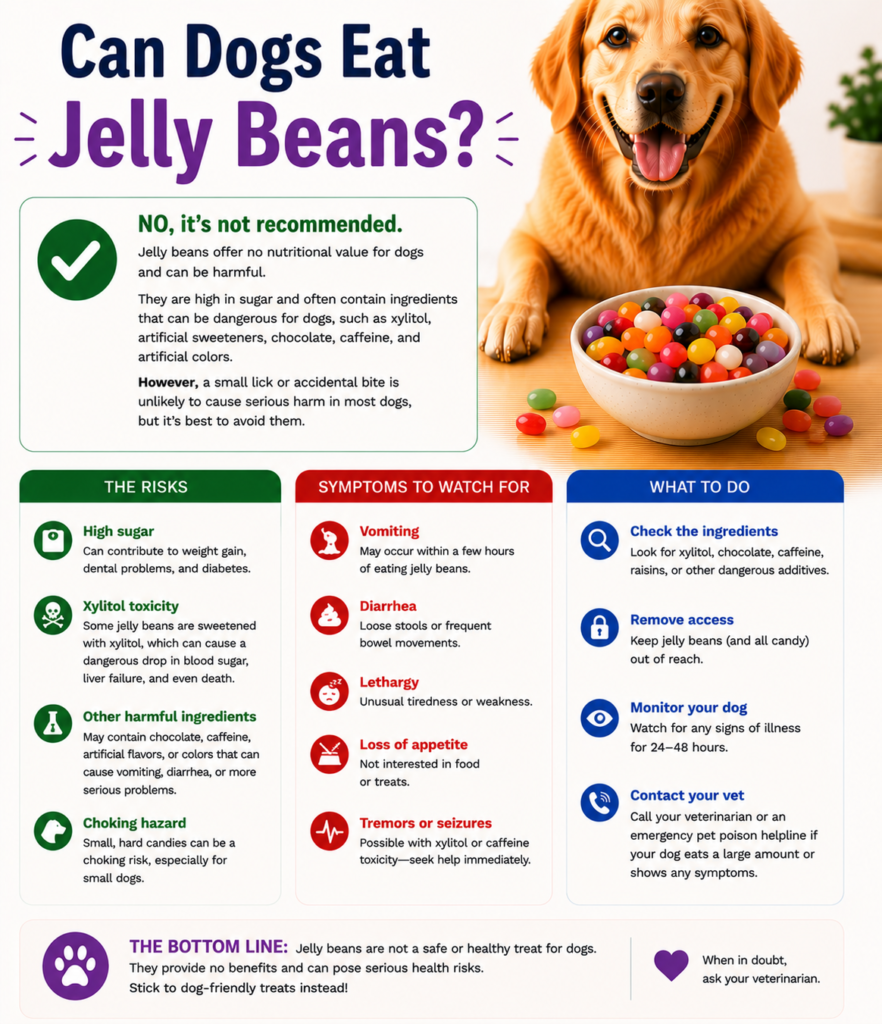 Can Dogs Eat Jelly Beans?