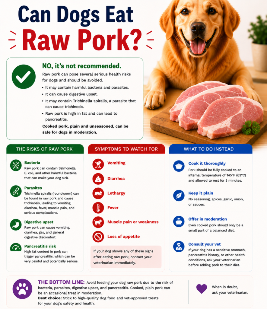 Can Dogs Eat Raw Pork?