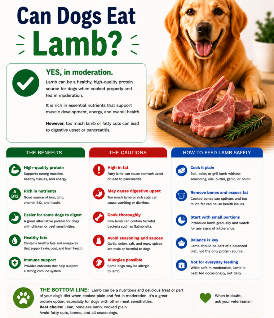 Can Dogs Eat Lamb?