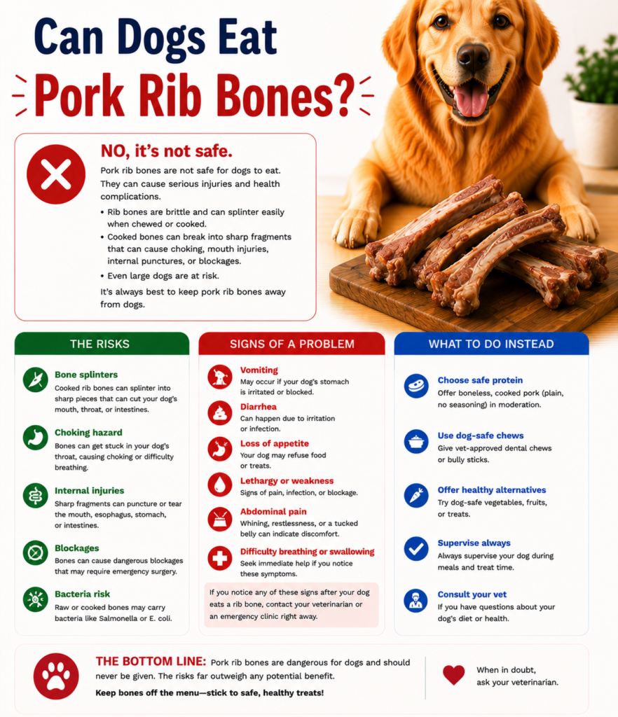 Can Dogs Eat Pork Rib Bones?