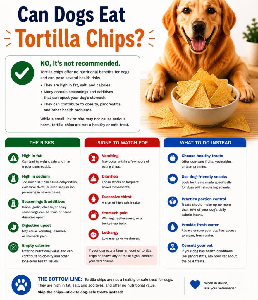 Can Dogs Eat Tortilla Chips?