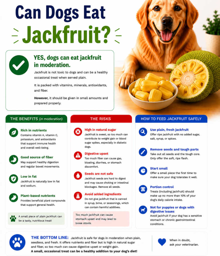 Can Dogs Eat Jackfruit?