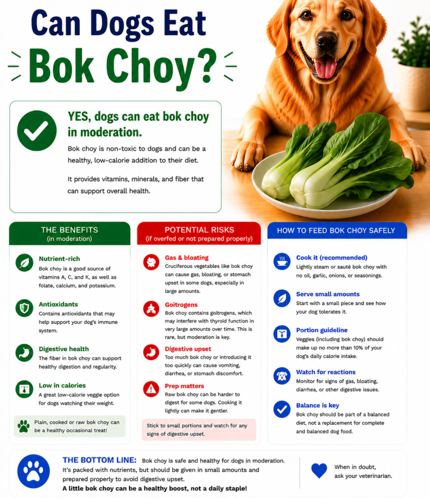 Can Dogs Eat Bok Choy?