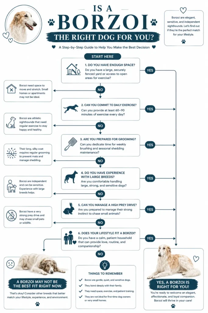 Decision flowchart helping readers determine whether a Borzoi is the right dog breed.