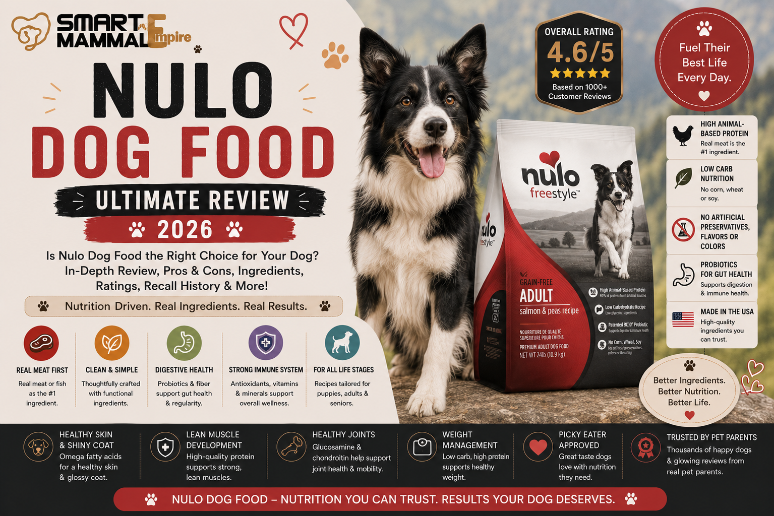 Nulo Dog Food